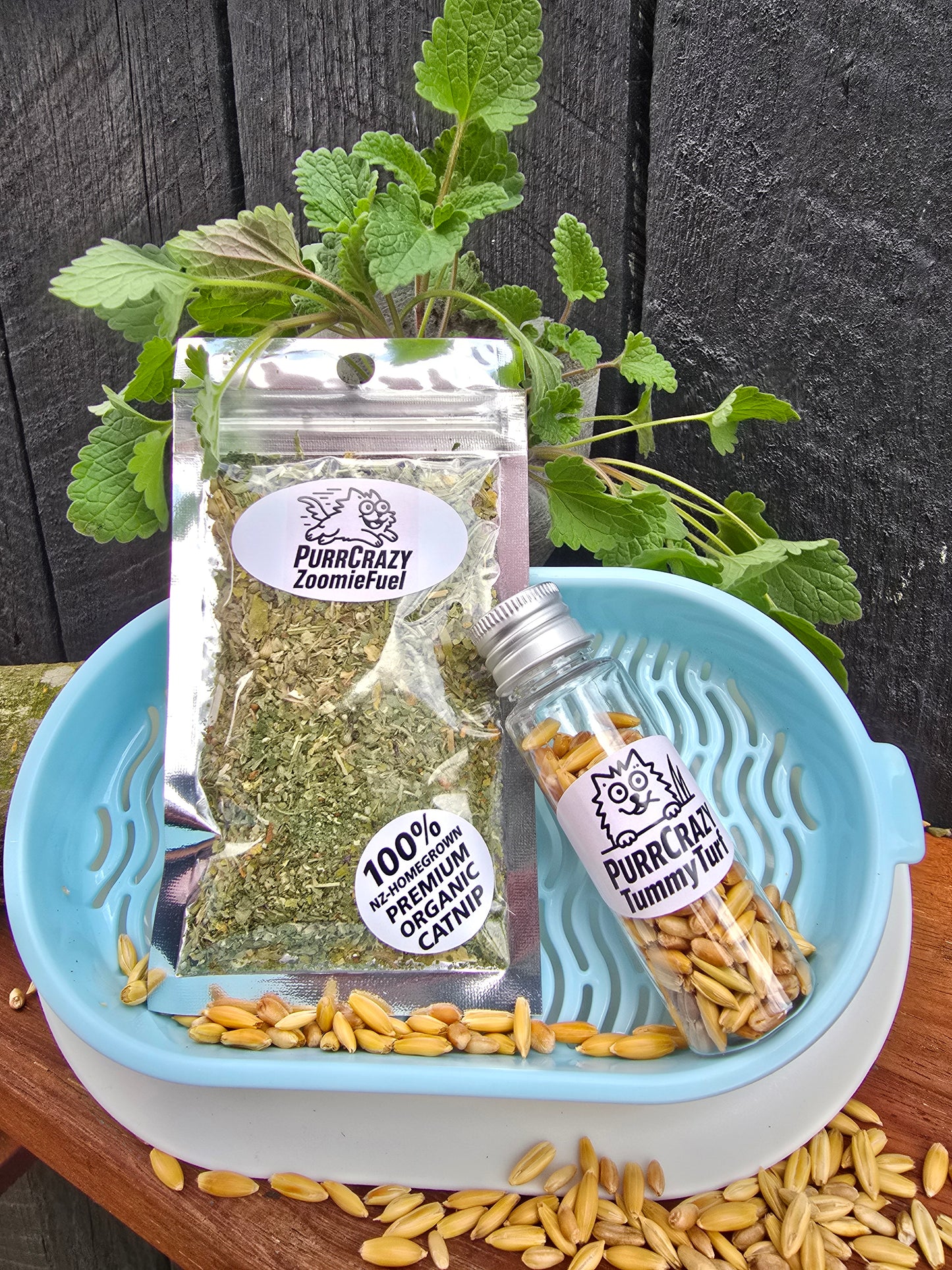 Zoomies to Zen Starter PurrPack