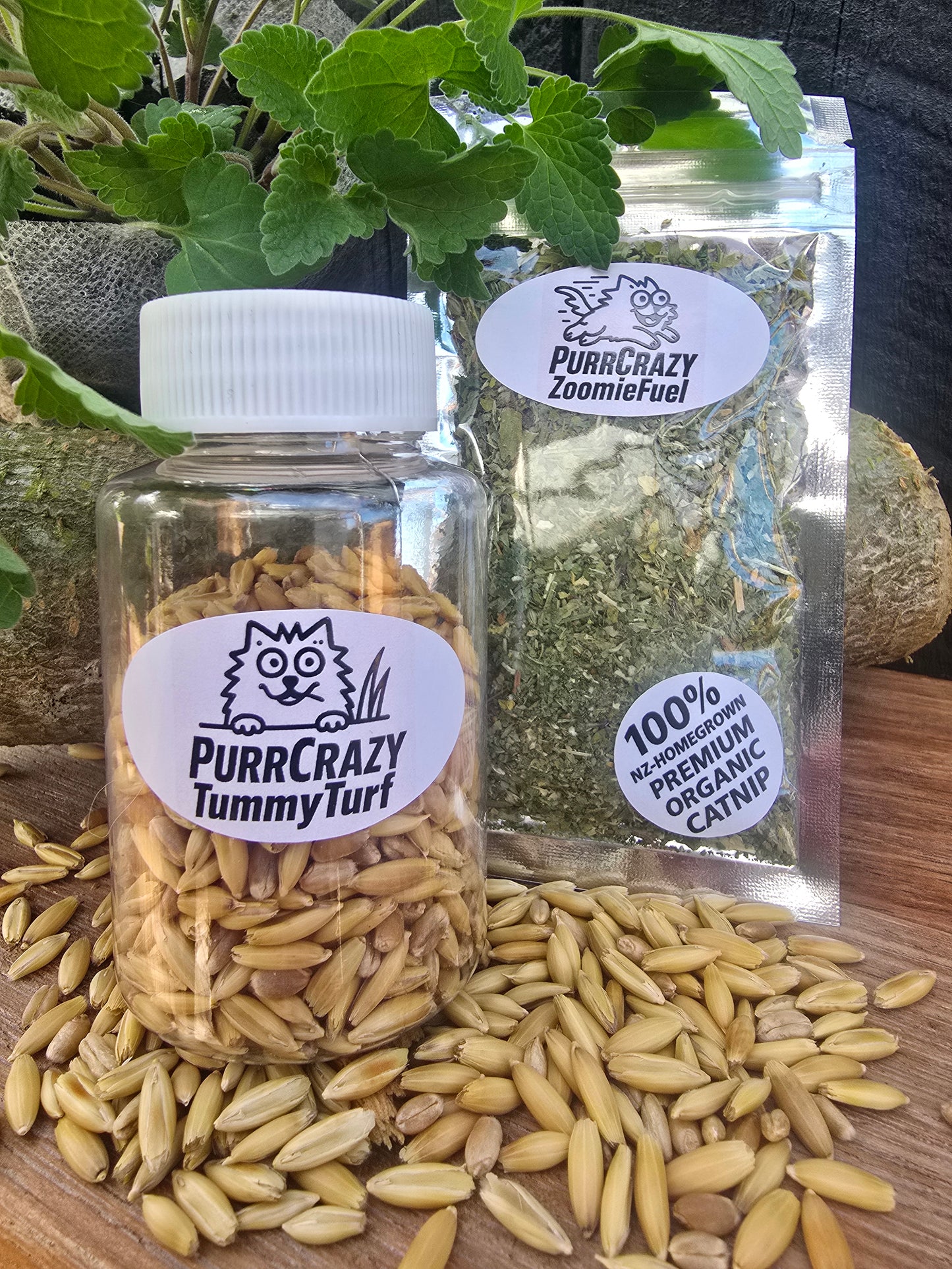 Zoom & Graze PurrPack